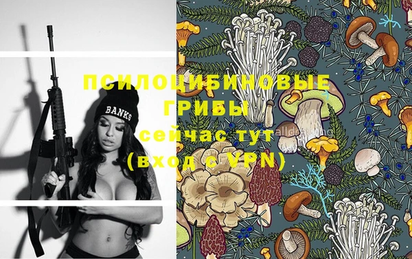 COCAINE Михайлов