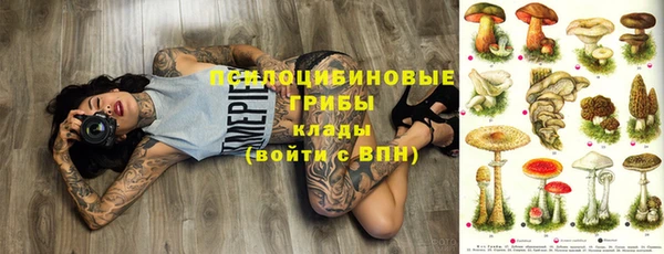 соль ск Медвежьегорск