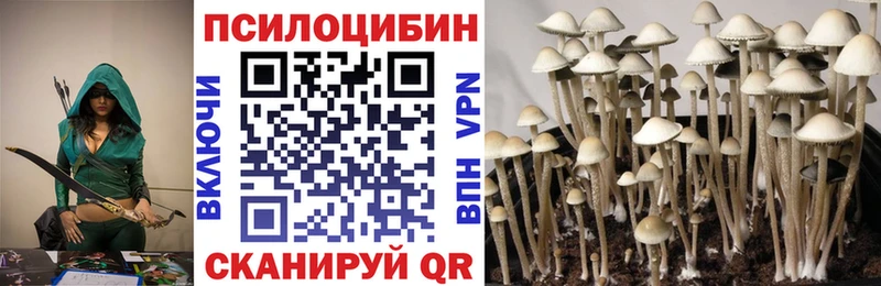 Галлюциногенные грибы мухоморы  Таштагол 